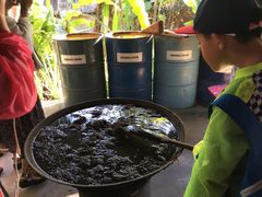 -大象粑粑造纸公园