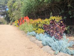 -墨尔本皇家植物园