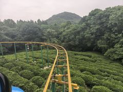 -杭州少年儿童公园