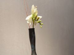 -觀芷隐轩