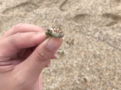 -白沙湾海滩