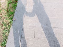 -南翔镇银翔湖公园