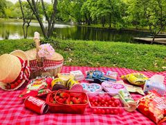 -上海共青森林公园