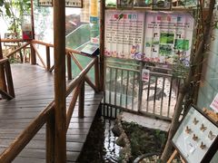 -上海大自然野生昆虫馆(东方明珠·爬宠昆虫探索中心)