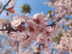 -老雒阳面馆·水席·洛阳菜(纱厂路店)