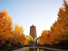 -玲珑塔公园