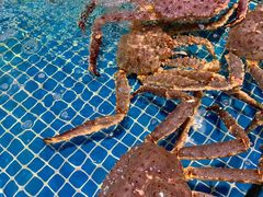 -三亚火车头万人海鲜广场