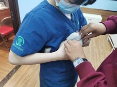 -瑞派·关忠动物医院·异宠专科·犬猫肿瘤·皮肤专科(望京店)