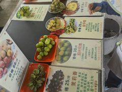 -马陆小张葡萄园农家乐