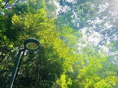 -西湖风景区-江洋畈生态公园