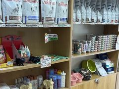 -中农大我爱我爱24h动物医院·中医针灸·猫专科·骨科医疗中心(双井店)