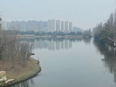 -洋湖国家湿地公园