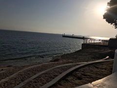 -采粤轩中餐厅(惠州金海湾喜来登度假酒店)