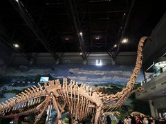 -自贡恐龙博物馆