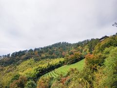 -敬亭山风景名胜区