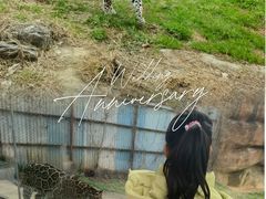 -杭州野生动物世界