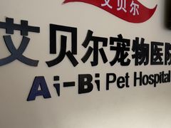 -艾贝尔宠物医院 ·内科全科(梁溪路店)