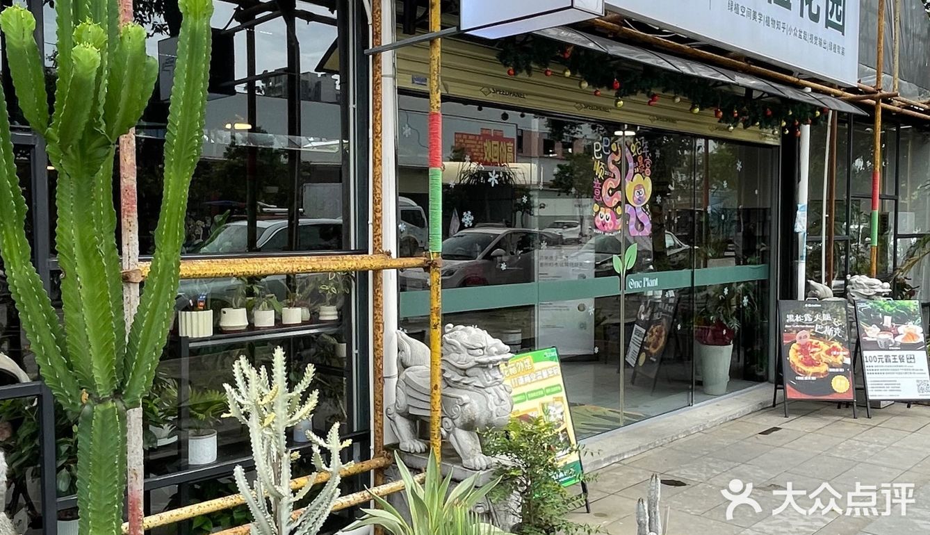 被绿植包围的咖啡店🌵🪴🎍🌿