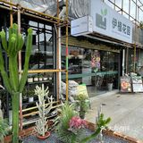 被绿植包围的咖啡店🌵🪴🎍🌿