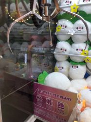 点击看大图 -meland club亲子乐园(重庆万象城店)
