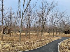 -溱湖国家湿地公园