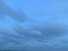 -贝壳沙滩