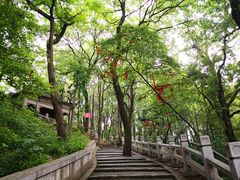 -灵岩山风景区