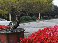 -灞柳驿酒店(香湖湾地铁站店)