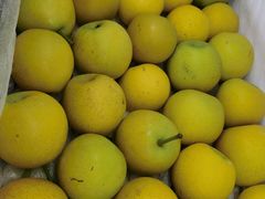 -乐汤汇温泉生活馆