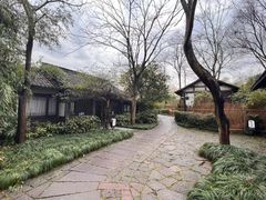 -西溪国家湿地公园