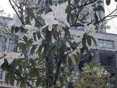 -公益图书馆(江南大学店)