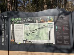 -天目山大树王景区