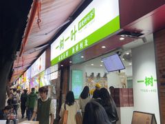 -一树一叶·福建茶档(石鼓路店)