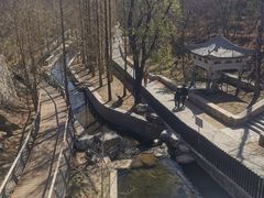 -白水寺森林公园