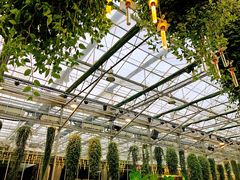 -常州花鸟园酒店(西太湖品牌优选店)