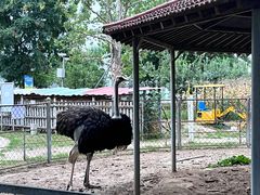 -意大利农场度假村