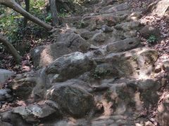 -梧桐山风景名胜区