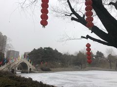 -团结湖公园