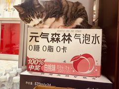 -无锡动物园·太湖欢乐园
