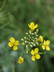 -蓝丝带产后恢复中心(于洪店)