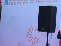 -银湖山郊野公园-相思林