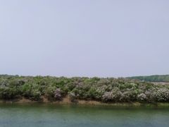 -丁香湖公园