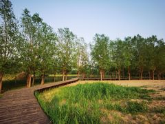 -东郊湿地公园