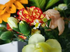 -落凡·手工DIY团建活动策划·文创礼品定制(南锣鼓巷店)