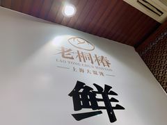 -老桐椿 · 上海大馄饨