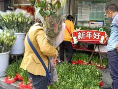 -溪岸路花鸟市场