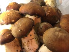 -菌之家·专业纯野生菌火锅·特色炒菌