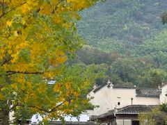 -塔川景区