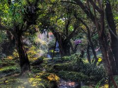 -Chom Cafe and Restaurant