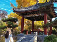 -迎泽公园
